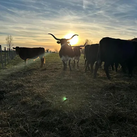 Вилла Domaine De La Tapie De Bouchet - En Camargue