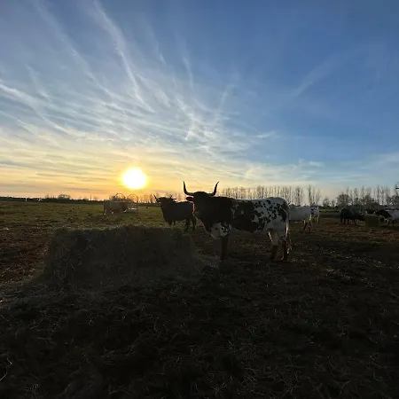 Вилла Domaine De La Tapie De Bouchet - En Camargue *