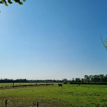 Вилла Domaine De La Tapie De Bouchet - En Camargue *