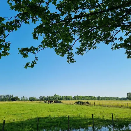 Domaine De La Tapie De Bouchet - En Camargue Arles